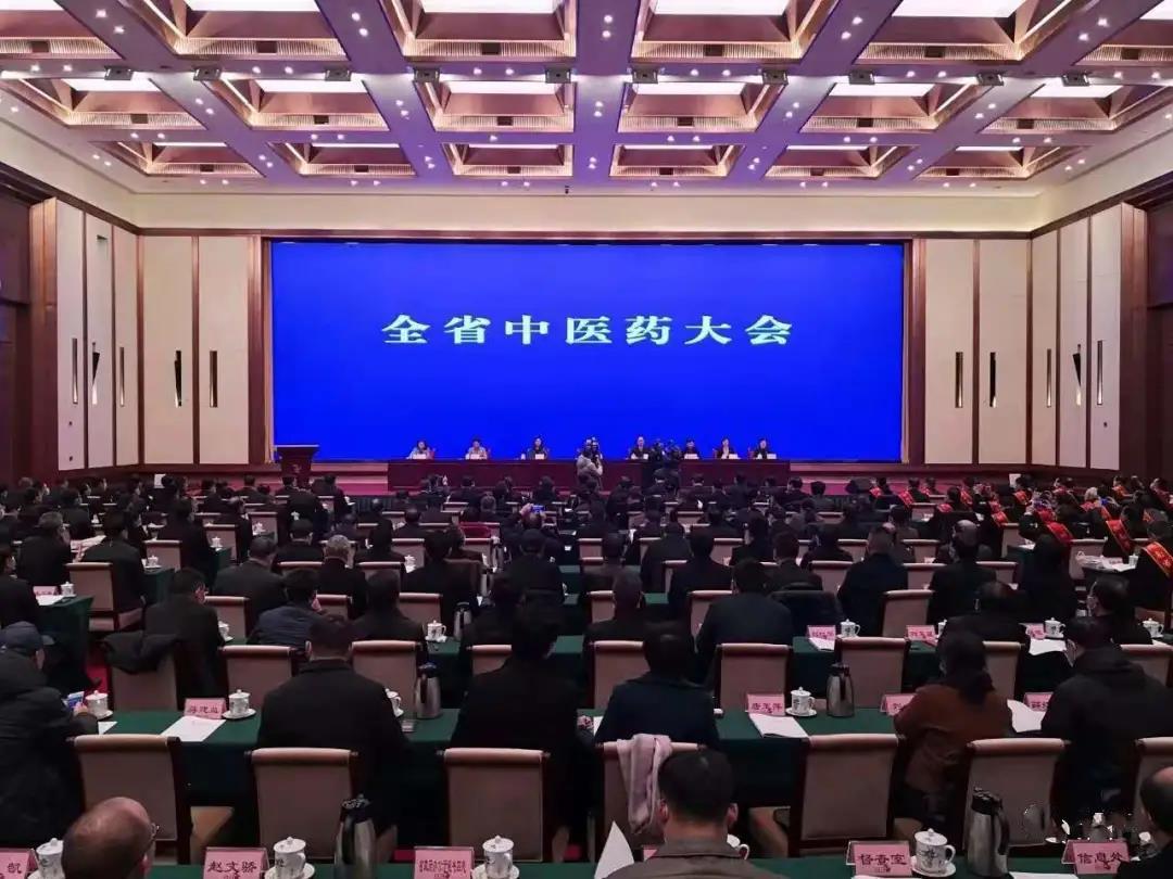 见证盛典，公司应邀参加 湖南省中医药大会